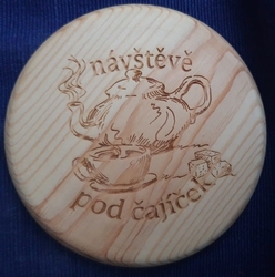 Návštěvě