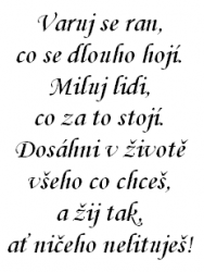 Univerzální text  0353