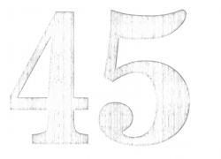 Číslovka 45