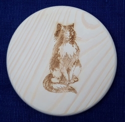 Kočka